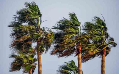 The Power of the Wind